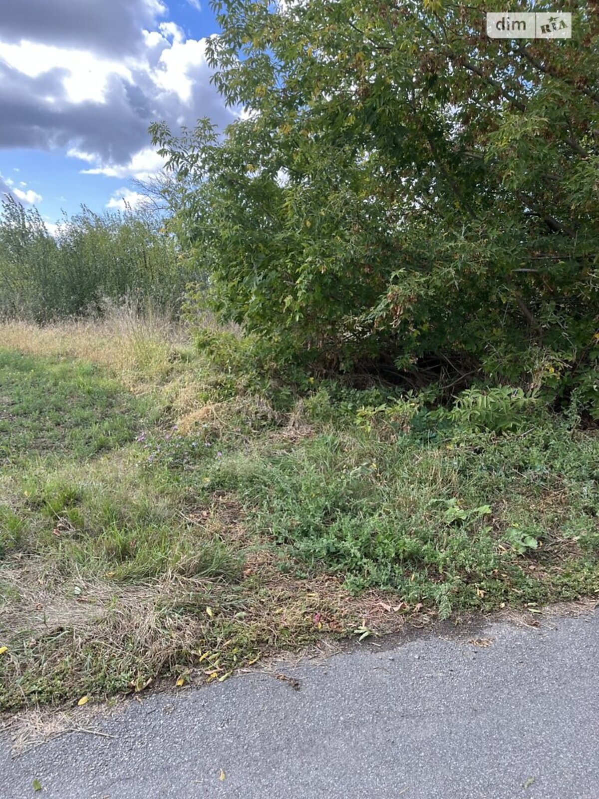 ��������� ������ ³�������, ³�����, ���������, �������� ���� 1