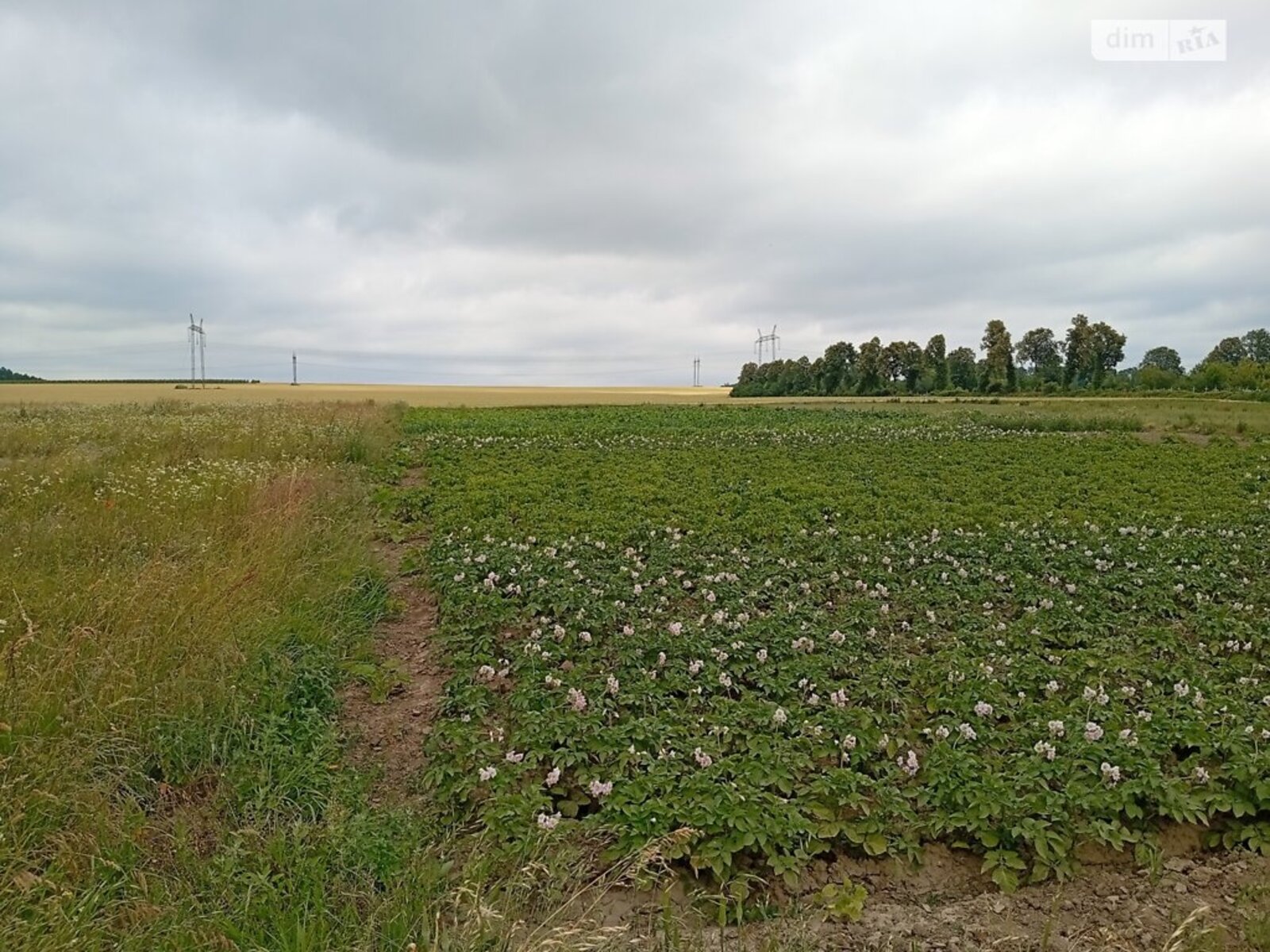 ��������� ������ ³�������, ³�����, ��������� ���� 1