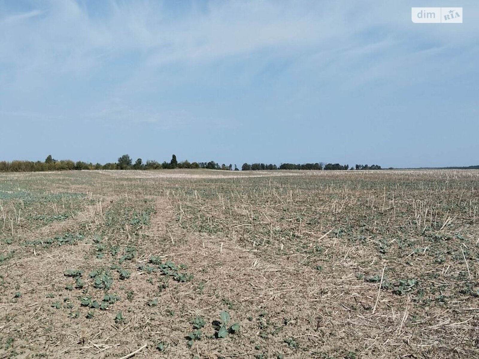 ��������� ������ ³�������, ³�����, ���������, ��������� ���� 1