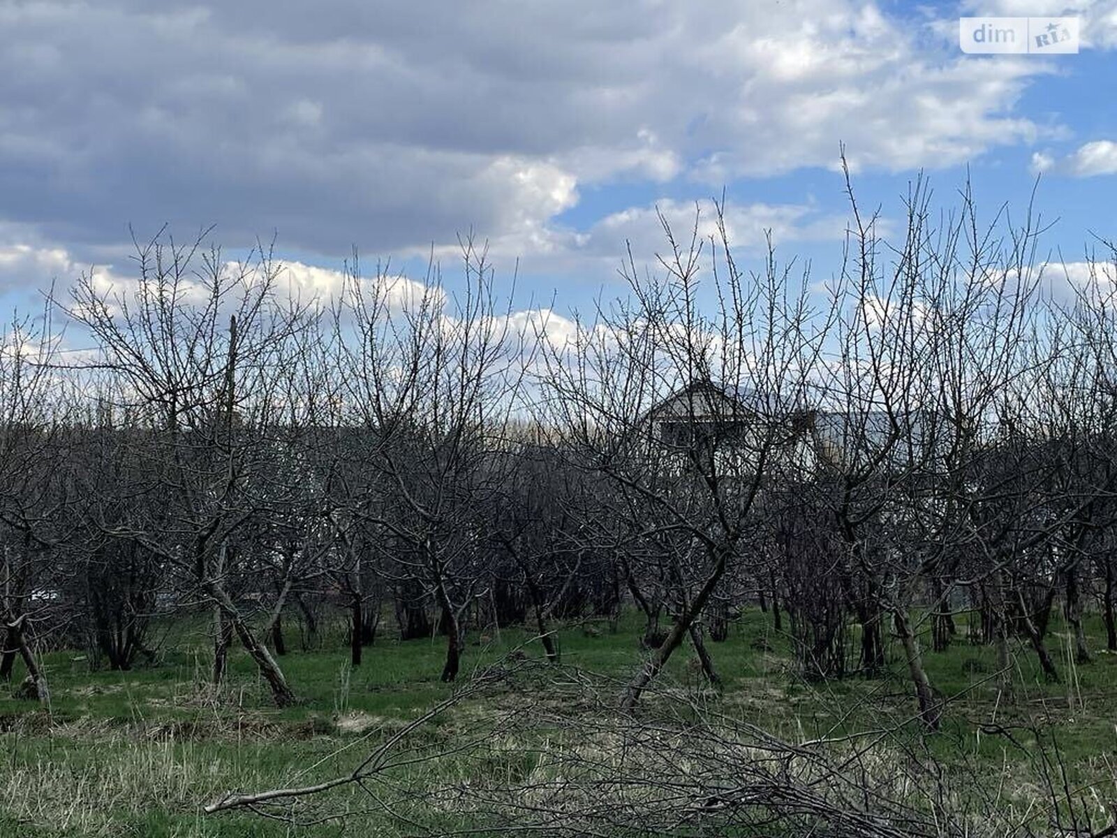 ��������� ������ ³�������, ³�����, ���������, ����-����������� ���� 1