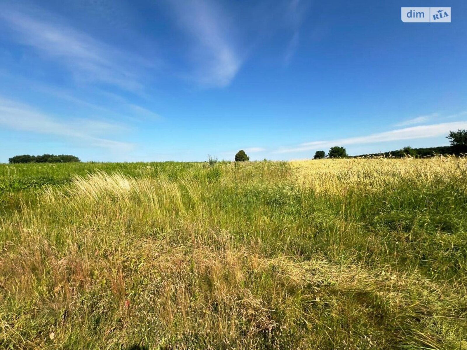 ��������� ������ ³�������, ³�����, ���������, ��������� ���� 1