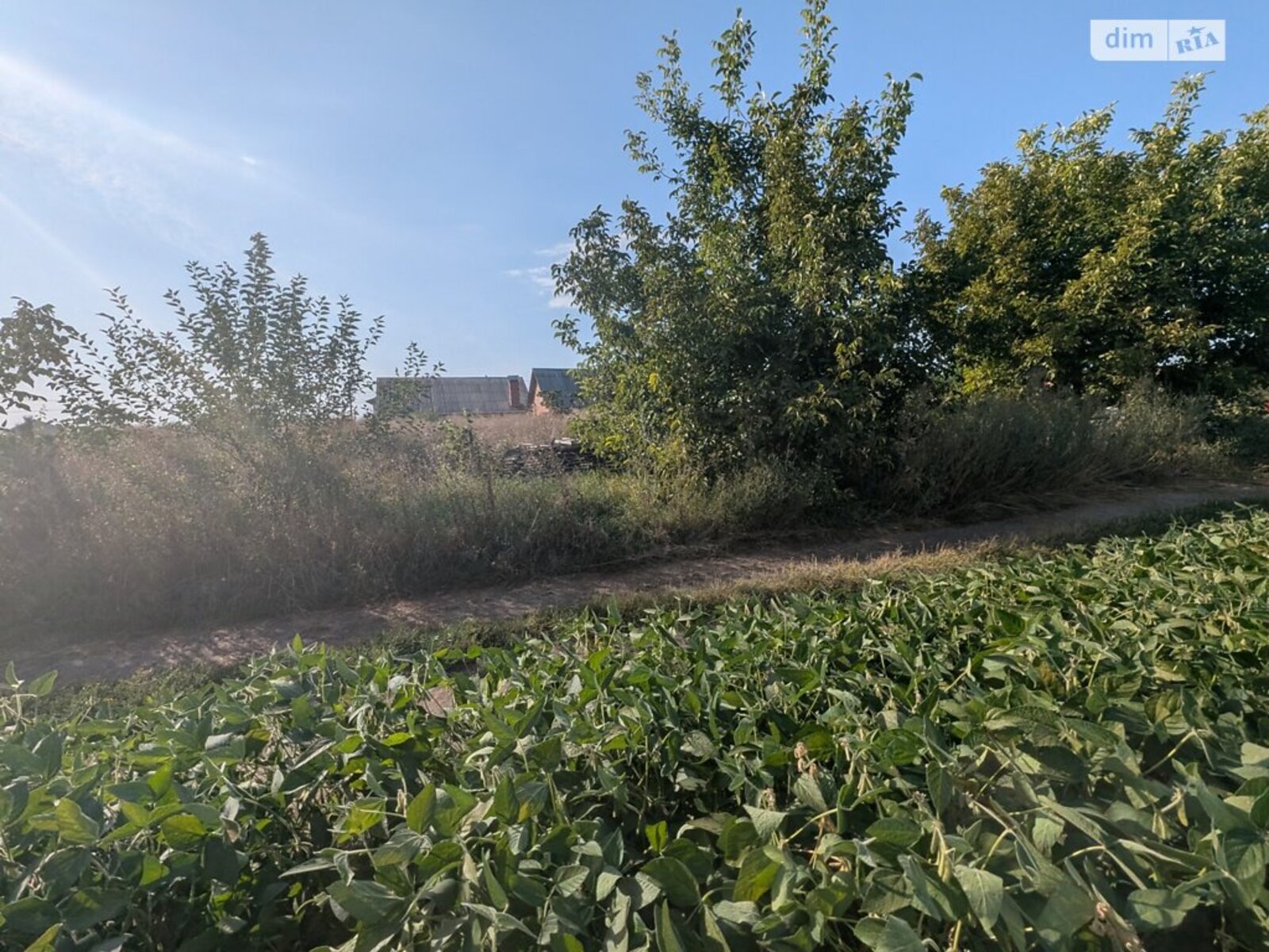 ��������� ������ ³�������, ³�����, �������������, ������ ���� 1