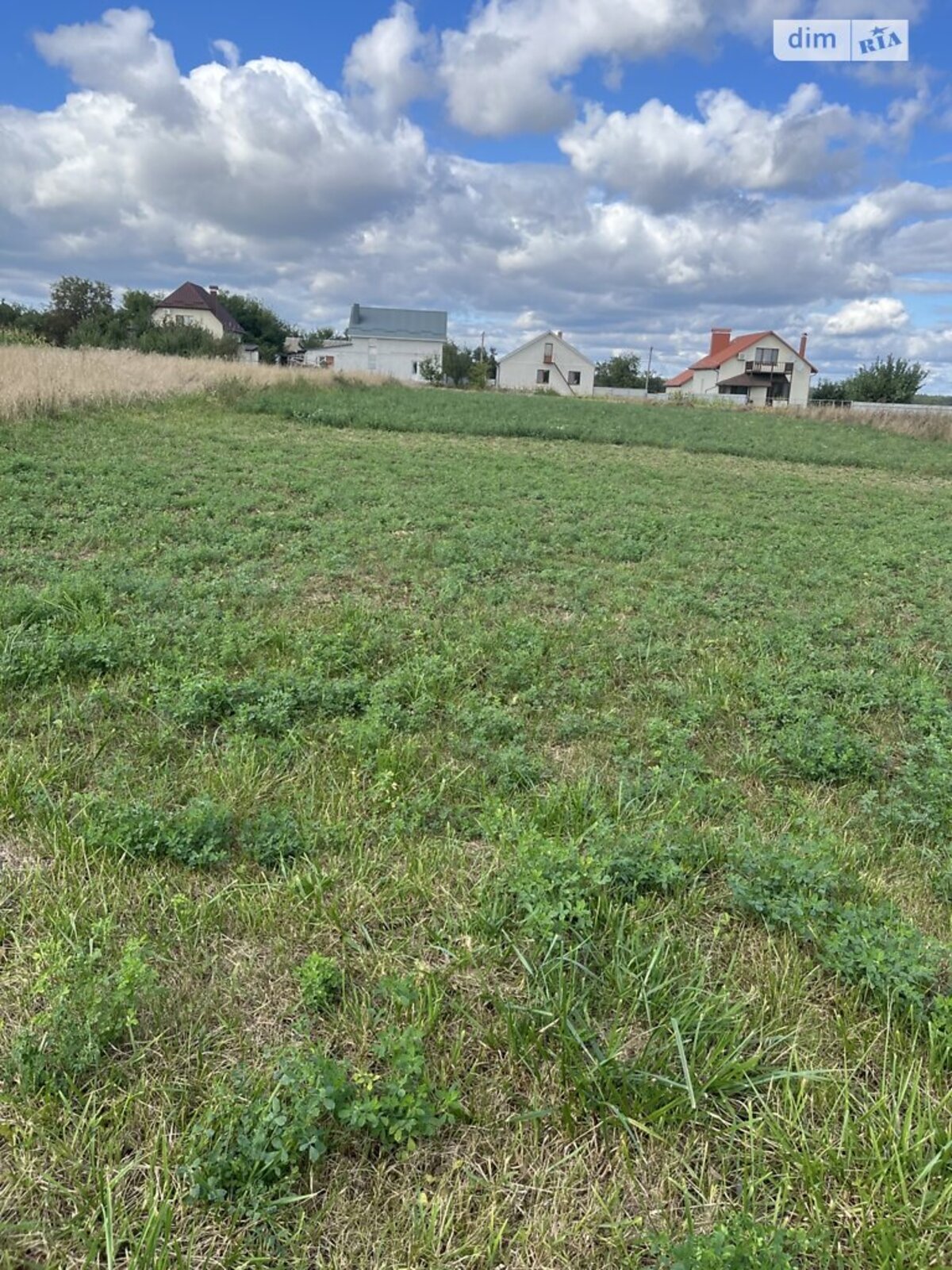 ��������� ������ ³�������, ³�����, ���������, �������� ���� 1