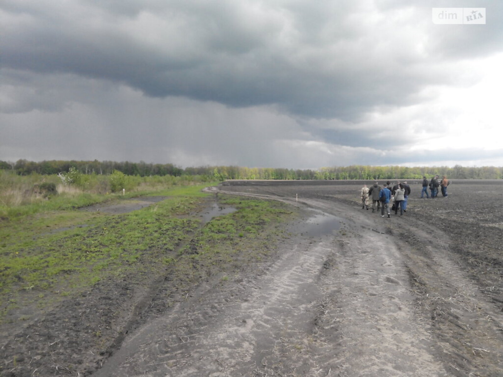 ��������� ������ ³�������, ³�����, ��������� ���� 1