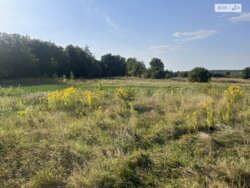 ��������� ������ ³�������, ³�����, ���������, ��������� ���� 5