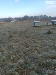 ��������� ������ ³�������, ³�����, ���������, ��������� ���� 1