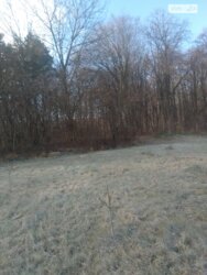 ��������� ������ ³�������, ³�����, ���������, ��������� ���� 5