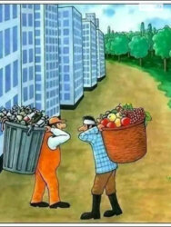 ��������� ������ ³�������, ³�����, ���������, ����-����������� ���� 4