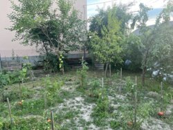   ³, ³, ,  , 1-    4