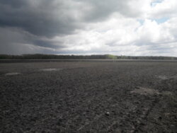 ��������� ������ ³�������, ³�����, ��������� ���� 4