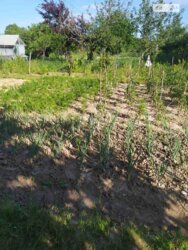 ��������� ������ ³�������, ³�����, ���������, ������ ���� 4