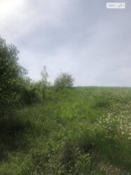   ³, ³, , , 7- .    3