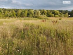 ��������� ������ ³�������, ³�����, ��������� ���� 1