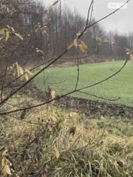 ��������� ������ ³�������, ³�����, ���������, �������� ���� 4