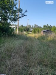 ��������� ������ ³�������, ³�����, ��������� ���� 4