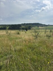 ��������� ������ ³�������, ³�����, ��������� ���� 5