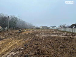 ��������� ������ ³�������, ³�����, ���������, ������-����������� ���� 1