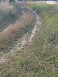   ³, ³, ,  , 쳿   3