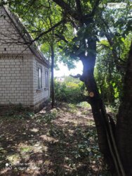 ��������� ������ ³�������, ³�����, �����������, ����� (��� ������), 1-� ��. ��������� ���� 3