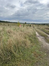 ��������� ������ ³�������, ³�����, ���������, �������� ���� 5