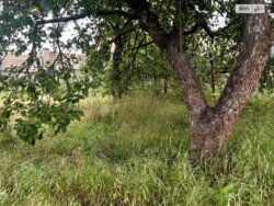 ��������� ������ ³�������, ³�����, ���������, ���������� ���� 5