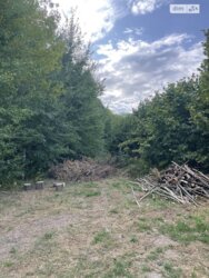 ��������� ������ ³�������, ³�����, ���������, ��������� ���� 1