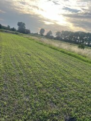 ��������� ������ ³�������, ³�����, ���������, �������� ���� 5