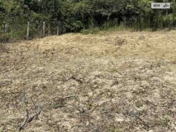   ³, ³, ,  (), .   1