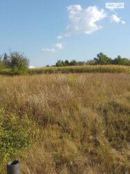 ��������� ������ ³�������, ³�����, ��������� ���� 1