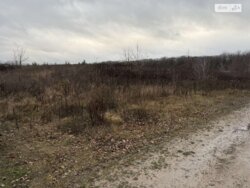 ��������� ������ ³�������, ³�����, �����������, ����� ����, ��������� ������ ���� 2