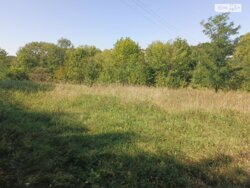 ��������� ������ ³�������, ³�����, ���������, �������� ���� 1