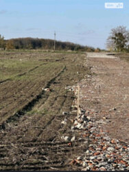 ��������� ������ ³�������, ³�����, ���������, ����-����������� ���� 3