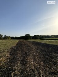 Продається ділянка Вінницька, Вінниця, Передмістя, Гавришівка, Озерна фото 3 Продається ділянка Вінницька, Вінниця, Передмістя, Гавришівка, Озерна фото 3