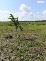 ��������� ������ ³�������, ³�����, ���������, ���������� ���� 1