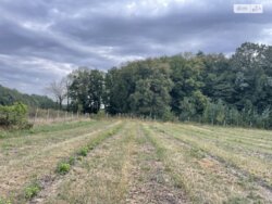 ��������� ������ ³�������, ³�����, �������������, ³�����-�������� ���� 1