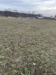 ��������� ������ ³�������, ³�����, ��������� ���� 1