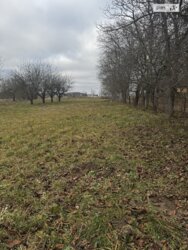 ��������� ������ ³�������, ³�����, ���������, ����-�����������, �����. ��� ������� ���� 2