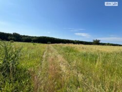 ��������� ������ ³�������, ³�����, ���������, ��������� ���� 2