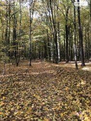 ��������� ������ ³�������, ³�����, ���������, ��������� (��������), ������� �������� ���� 2