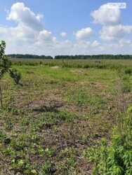 ��������� ������ ³�������, ³�����, ���������, ���������� ���� 2