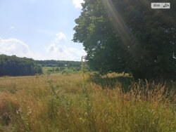 �������� ���� 3