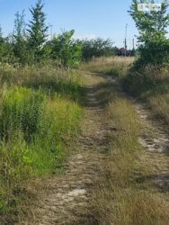   ³, ³, ,  , 쳿   4