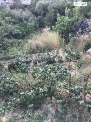 ��������� ������ ³�������, ³�����, �����������, ����� ����, ������������ ���� 1