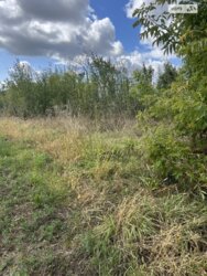 ��������� ������ ³�������, ³�����, ���������, �������� ���� 3