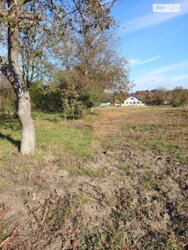 ��������� ������ ³�������, ³�����, ��������� ���� 2