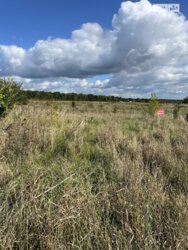 ��������� ������ ³�������, ³�����, ���������, �������� ���� 4