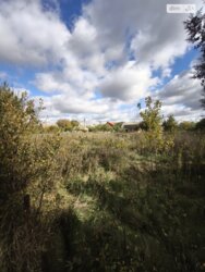 ��������� ������ ³�������, ³�����, ���������, ³������ ������ ���� 3