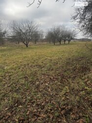 ��������� ������ ³�������, ³�����, ���������, ����-�����������, �����. ��� ������� ���� 4