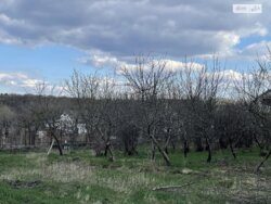 ��������� ������ ³�������, ³�����, ���������, ����-����������� ���� 3