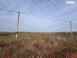 ��������� ������ ³�������, ³�����, ��������� ���� 2